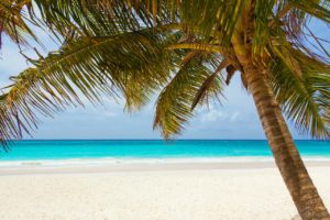 Read more about the article Kemp Travel’s Top Seven Vacations