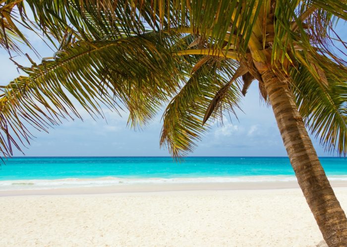 Kemp Travel’s Top Seven Vacations