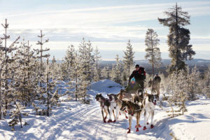 Read more about the article Winter Fun Around the World