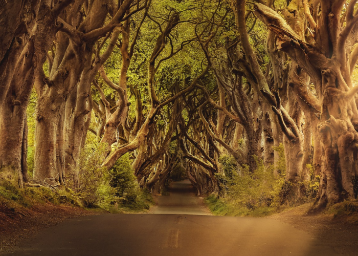 6 Creepy Destinations to Travel Next Halloween