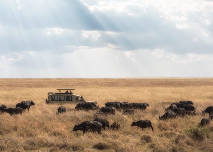 What’s next on your bucket list?