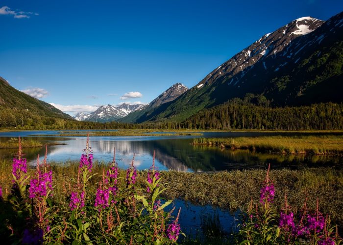 Alaska: Four Seasons of Fun in the Far North