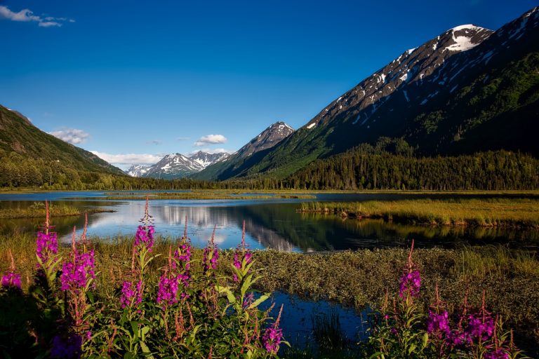 Read more about the article Alaska: Four Seasons of Fun in the Far North