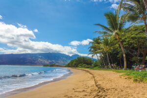 Read more about the article 10 Reasons Why Families Love Hawaii