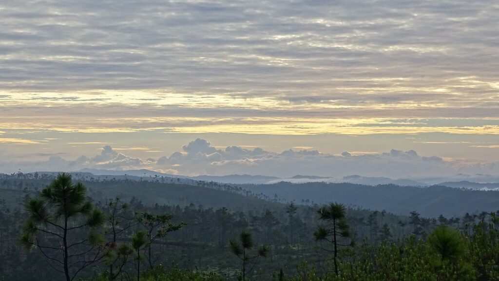 Mountain Pine Ridge, Belize