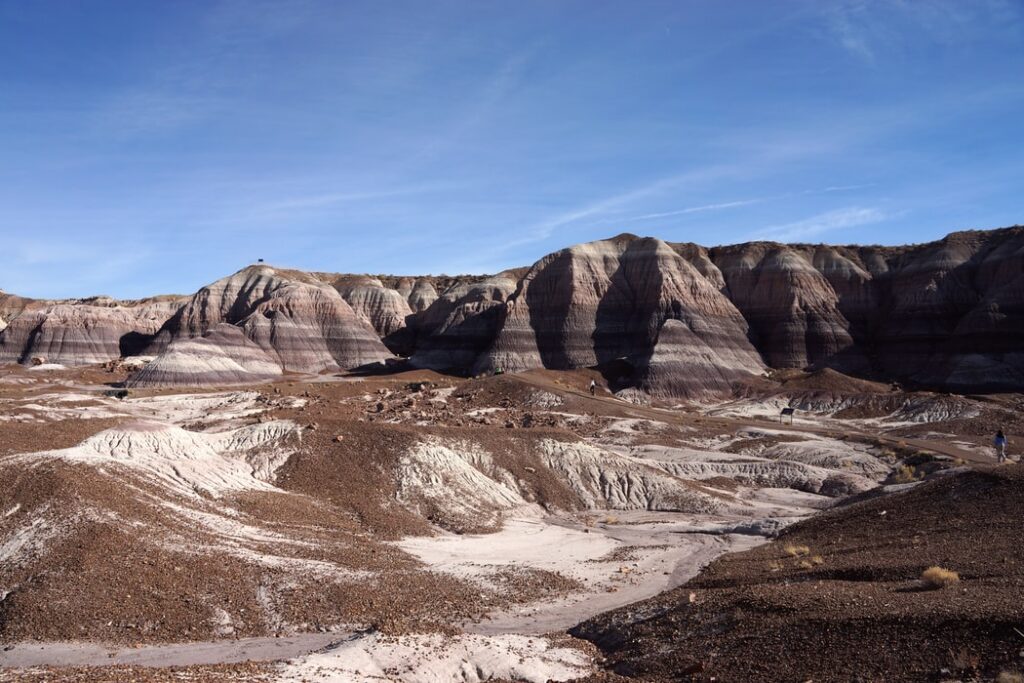 Beauty in your own Backyard Petrified Forest