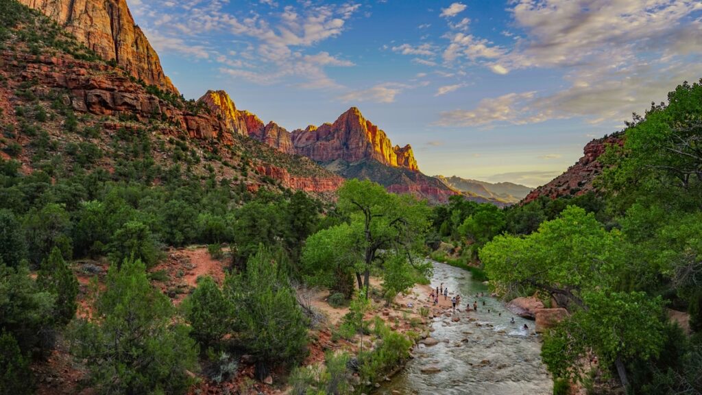Beauty in your own Backyard Zion National Park