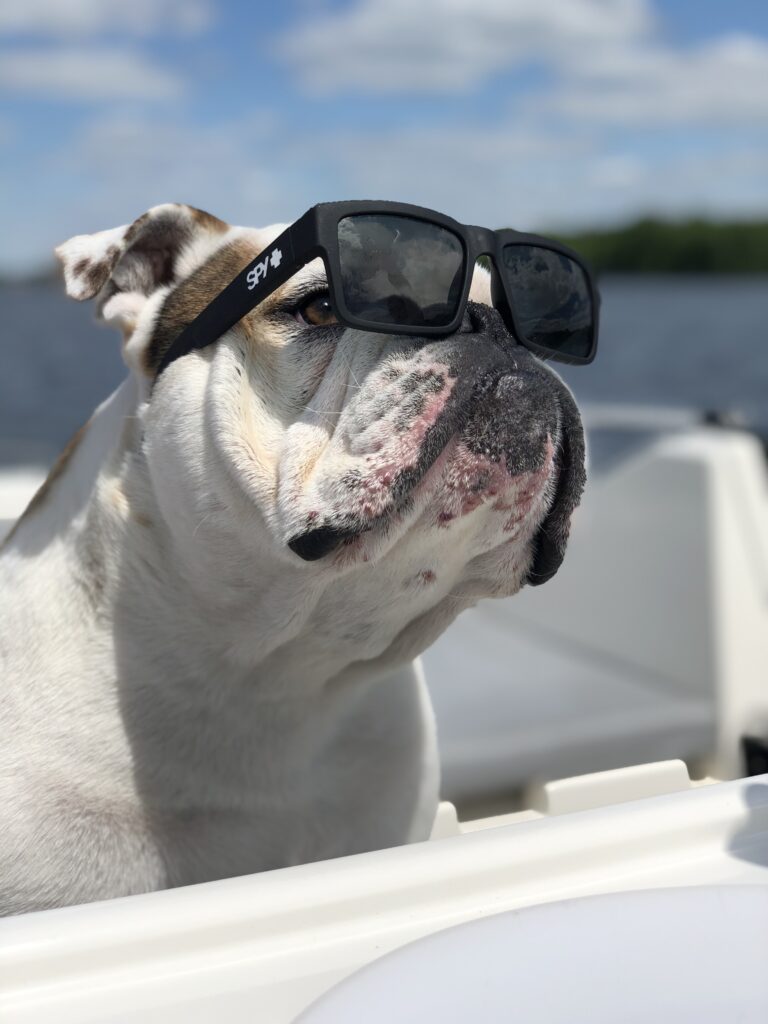 Le Boat