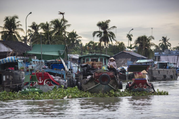 Freechoice, Cai Be Floating Markets, Vietnam