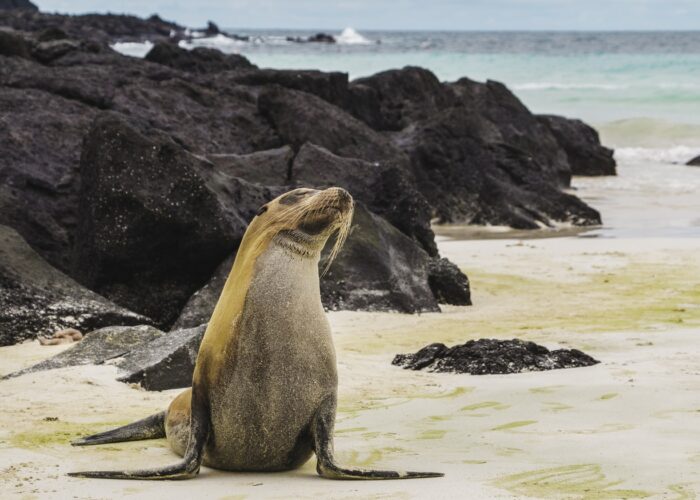 5 Countries Leading the Way in Sustainable Travel