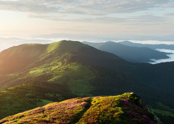 10 Unforgettable Destinations for Traveling in March