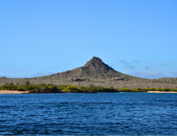 Cerro Dragon