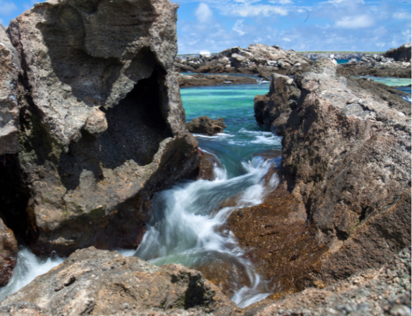 Darwin Bay