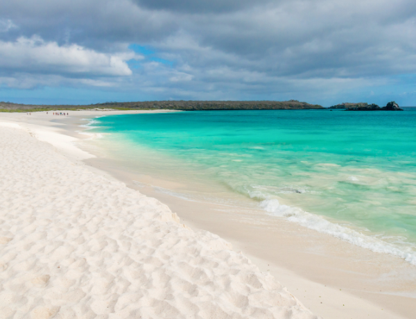 Gardner Bay