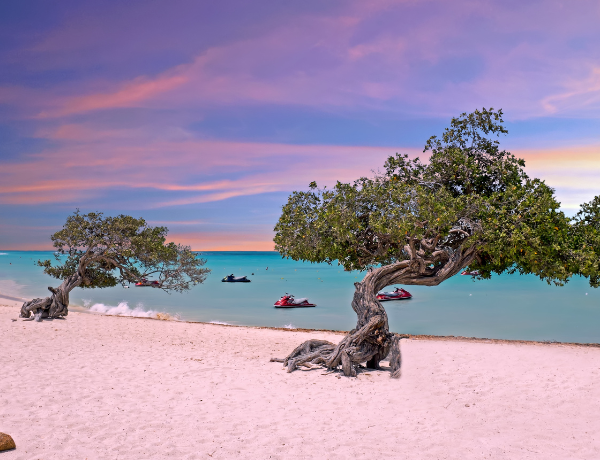 Eagle Beach, Aruba