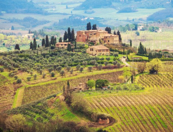 Tuscany, Italy (2)