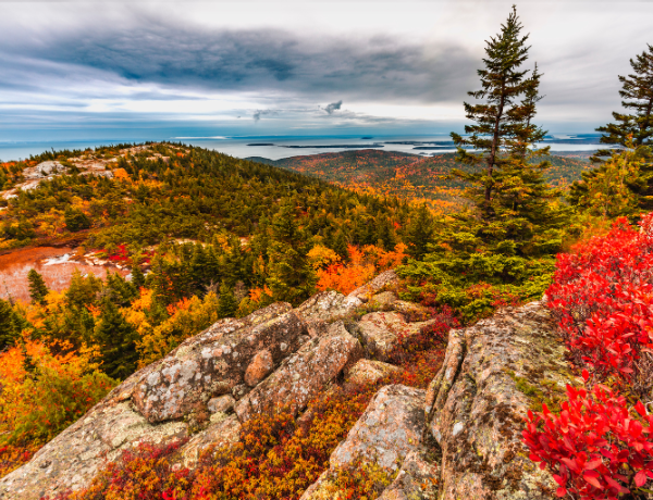 Acadia National Park in Maine (2)