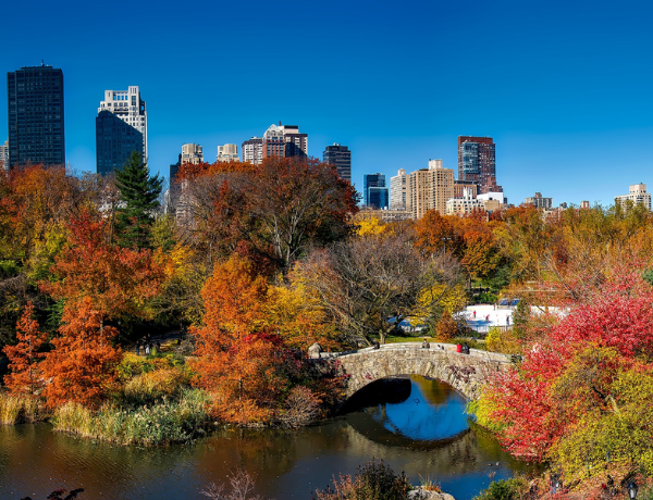 Central Park, New York, USA