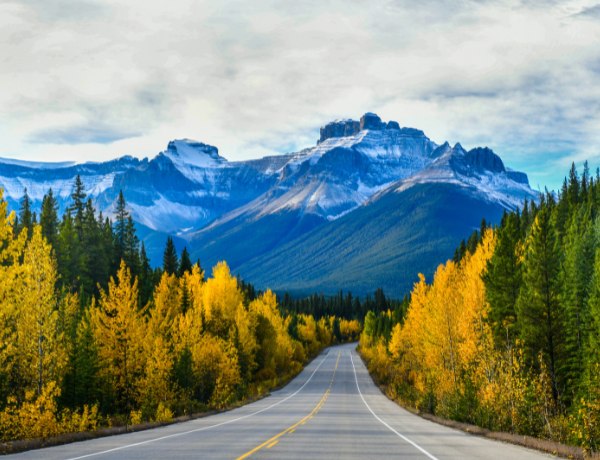 Icefield Parkway in Autumn Jasper National park,Canada