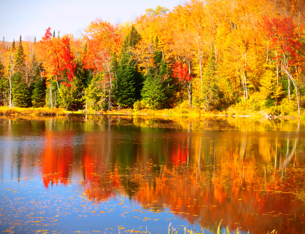 Vermont, USA