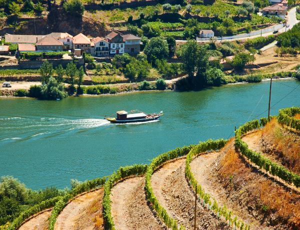 Alto Douro, Port Wine region