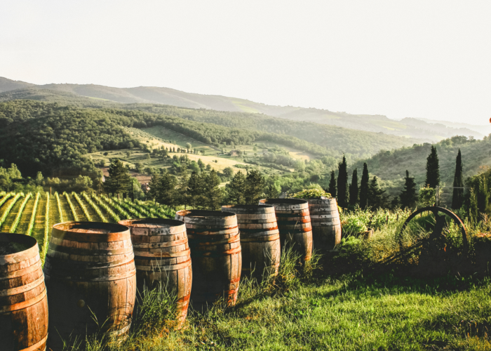Fall Wine Harvest Tours: Discover the Best Vineyards and Wineries