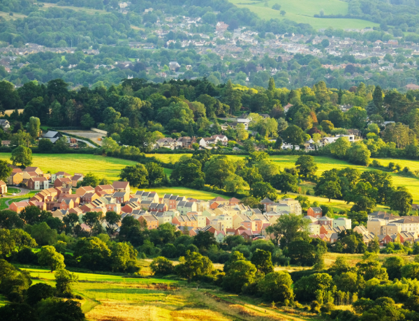 Cotswolds