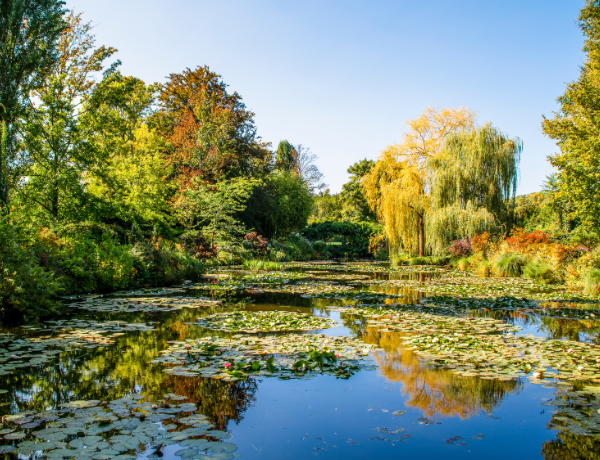 Monet's Japanese Bridge in Giverny, France