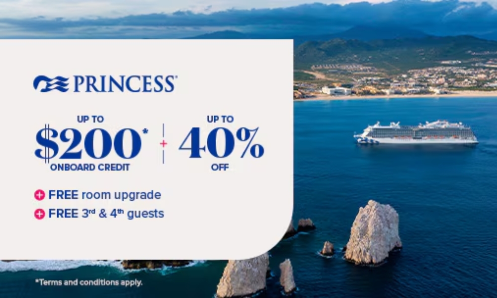 Princess - Promotion Page Image (1000 x 600 px) - Jan 2025