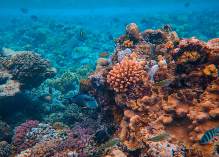 10 Breathtaking Places to Visit Before They’re Gone