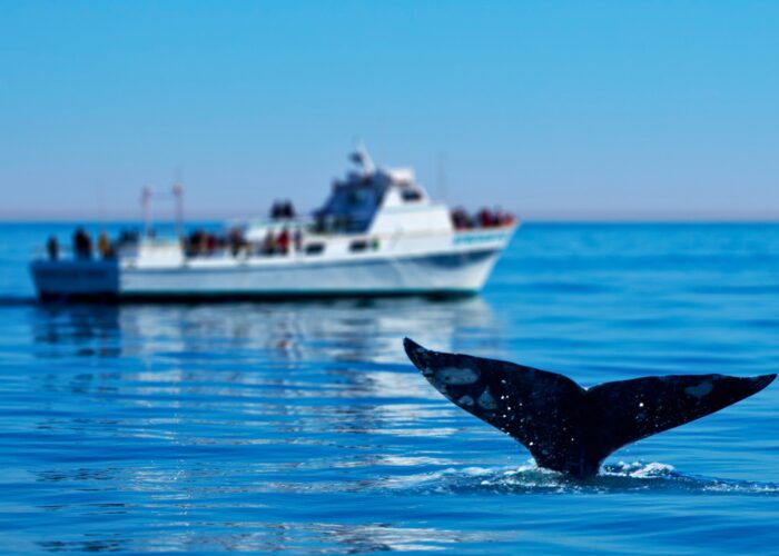 5 Unforgettable Family Adventures You Have to Try in 2025
