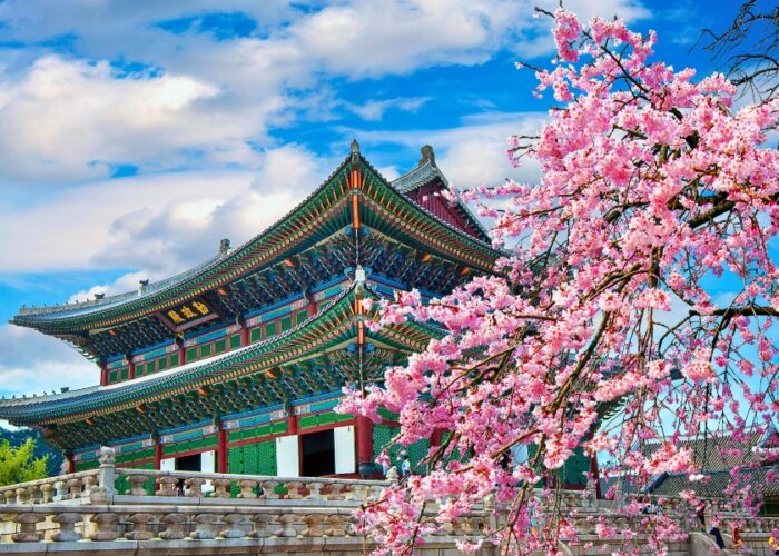 Destination of the Month: South Korea