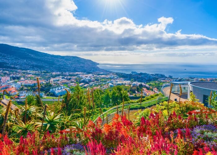 Spring Awakening: The World’s Most Breathtaking Flower Destinations