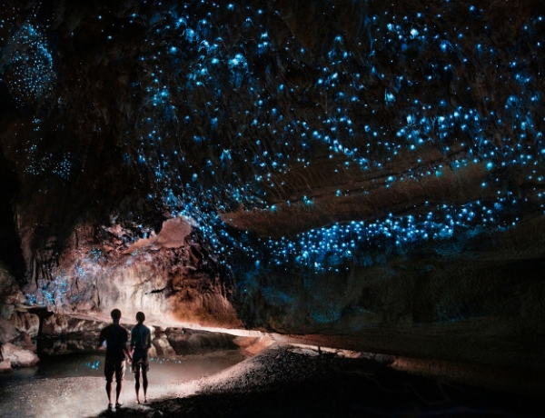 Waipu cave filled will glow worms