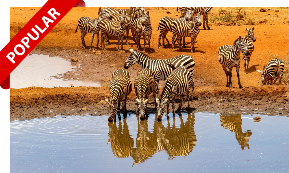 Africa 2026 - Kemp Travel Tour