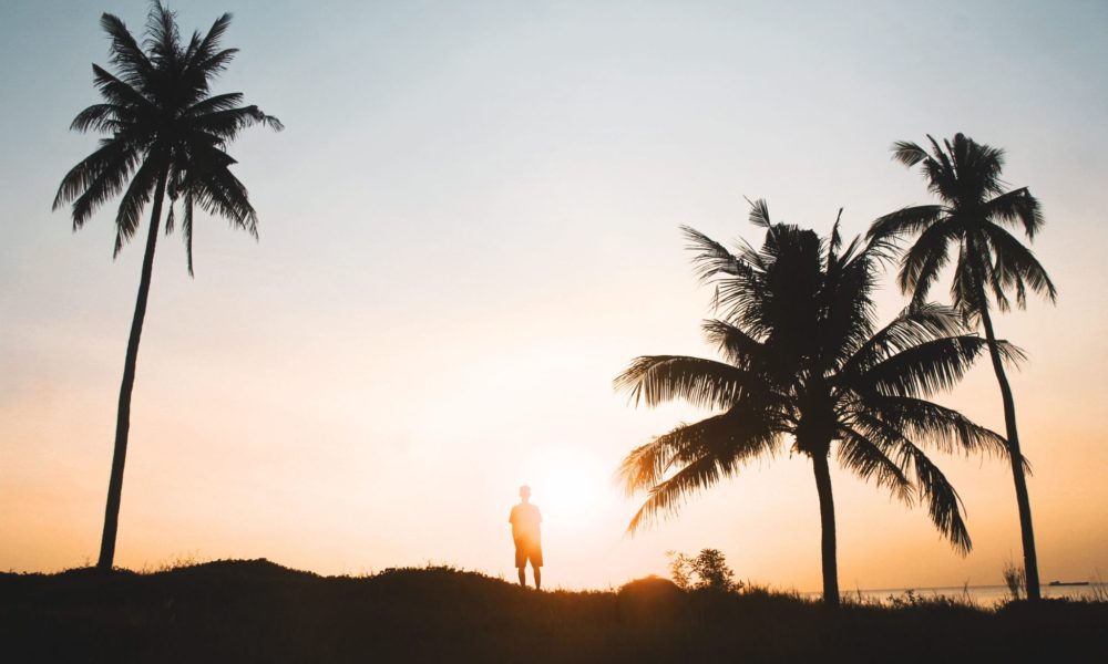 andy-do-564687-unsplash andy-do-564687-unsplash
