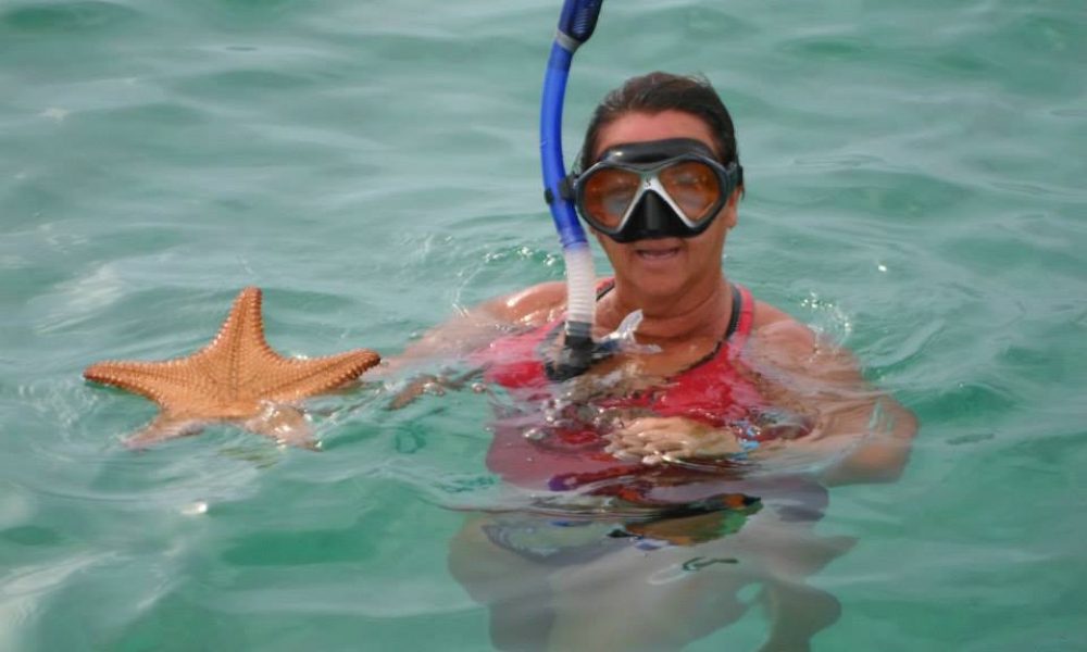 starfish starfish